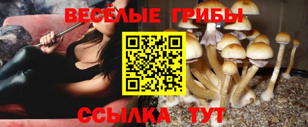 Ханты-Мансийск  Псилоцибиновые грибы Psilocybe  купить наркотик  Галлюциногенные грибы мухоморы  Вход с VPN 